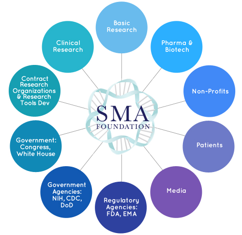 Hub of SMA Foundation Collaborators