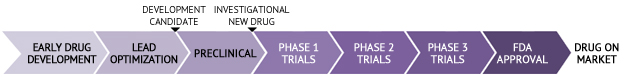 Drug Development Process